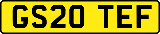 GS20TEF