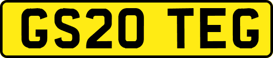 GS20TEG
