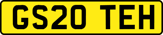 GS20TEH