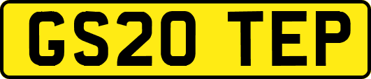 GS20TEP