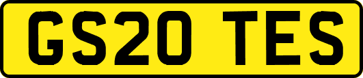 GS20TES