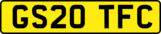 GS20TFC
