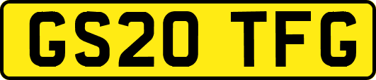 GS20TFG