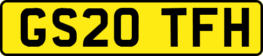 GS20TFH