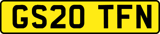 GS20TFN