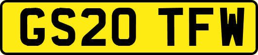GS20TFW