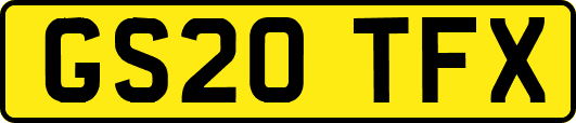 GS20TFX