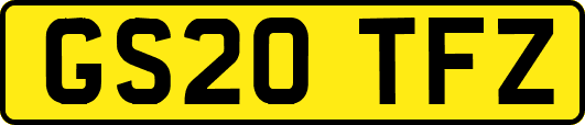GS20TFZ