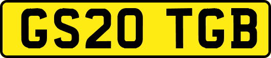 GS20TGB