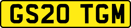 GS20TGM