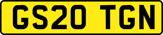 GS20TGN