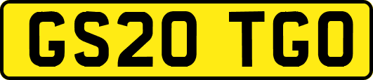 GS20TGO