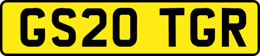 GS20TGR