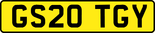 GS20TGY