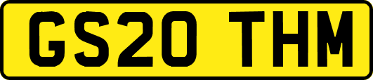 GS20THM