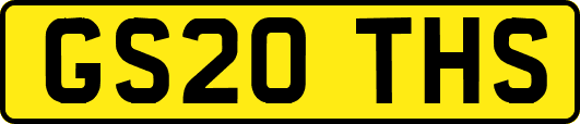 GS20THS
