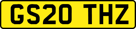 GS20THZ