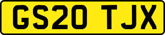 GS20TJX