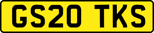 GS20TKS