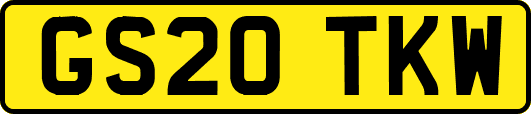 GS20TKW