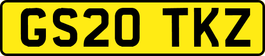 GS20TKZ
