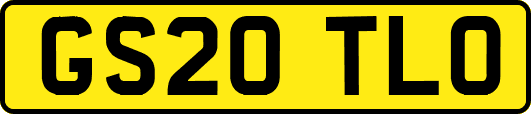 GS20TLO