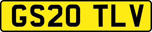 GS20TLV