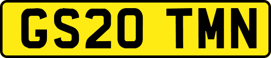 GS20TMN