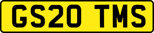 GS20TMS
