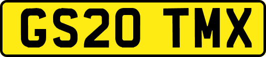 GS20TMX