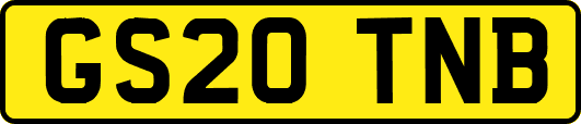GS20TNB