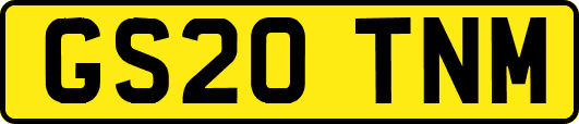 GS20TNM