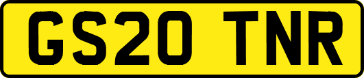 GS20TNR