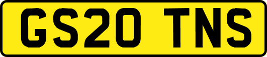 GS20TNS