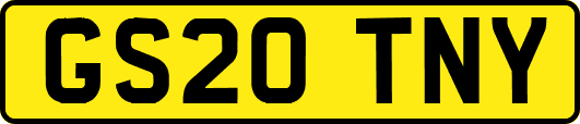 GS20TNY