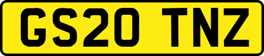 GS20TNZ
