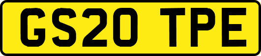 GS20TPE