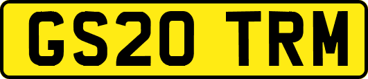 GS20TRM
