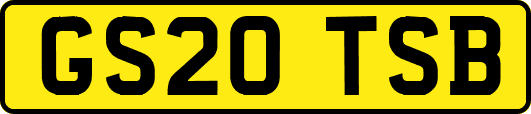 GS20TSB