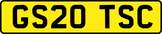 GS20TSC