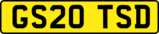 GS20TSD
