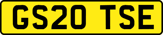 GS20TSE