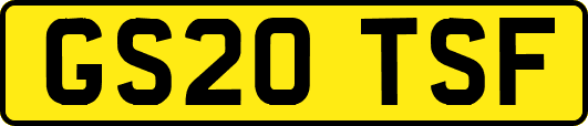 GS20TSF
