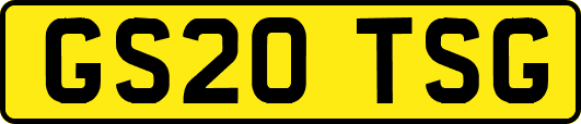 GS20TSG