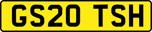 GS20TSH