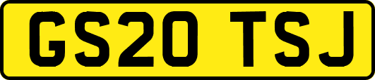 GS20TSJ