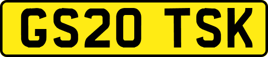 GS20TSK