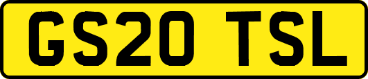GS20TSL