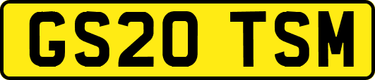 GS20TSM