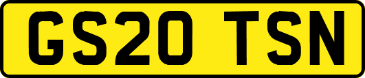 GS20TSN